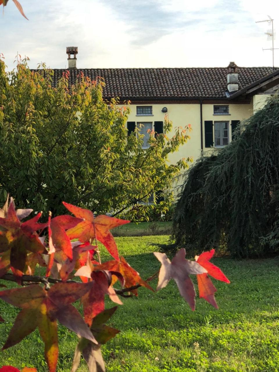 Villa Cascina San Giorgio à Valenza Extérieur photo