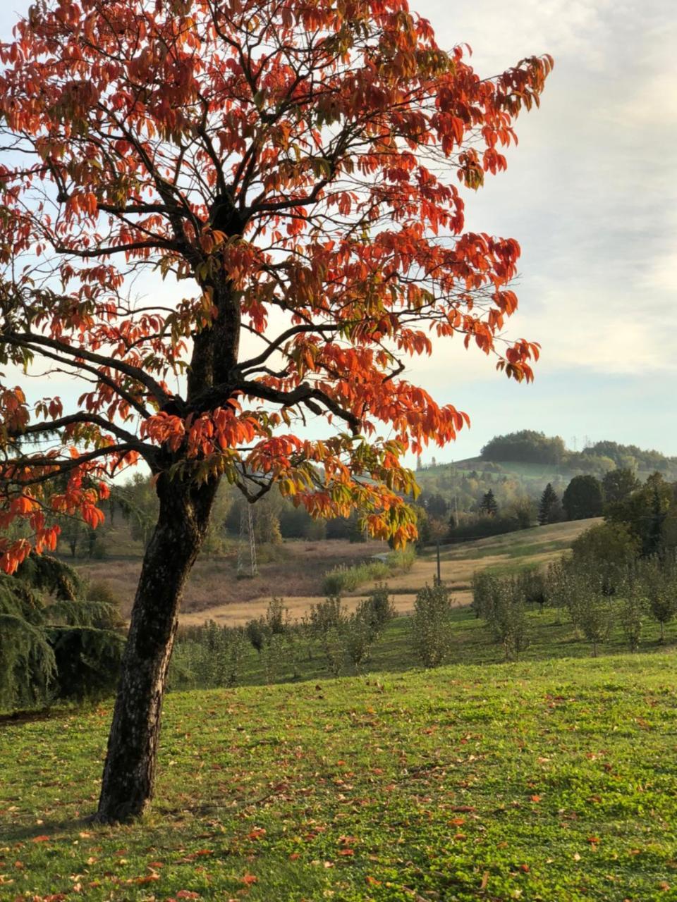 Villa Cascina San Giorgio à Valenza Extérieur photo